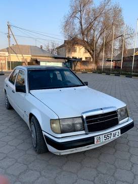 Mercedes-Benz 260: 1990 г., 2.5 л, Механика, Дизель, Седан