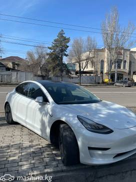 Tesla Model 3 I Standart Plus Electro AT (190 кВт), 2019