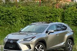 Lexus NX I Рестайлинг 300h 2.5, 2019