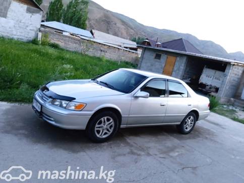 Toyota Camry IV (XV20) 2.2, 2001