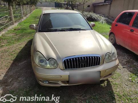 Hyundai Sonata IV (EF) Рестайлинг Tagaz 2.0, 2006