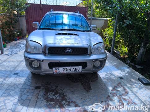 Hyundai Santa Fe I 2.0, 2002