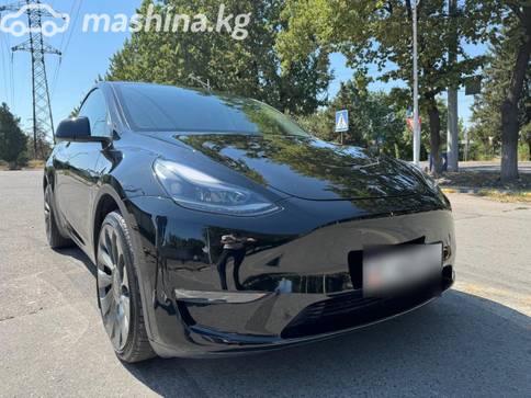 Tesla Model Y I Long Range Electro AT (254 кВт) 4WD, 2022