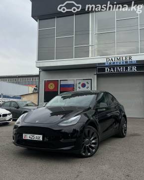 Tesla Model Y I Long Range Electro AT (254 кВт) 4WD, 2022