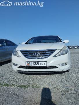 Hyundai Sonata VI (YF) 2.0, 2010