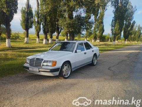 Mercedes-Benz W124 250 2.5, 1989