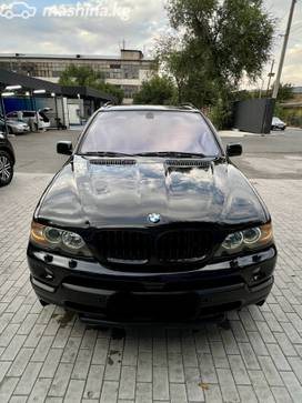 BMW X5 I (E53) Рестайлинг 4.8, 2006